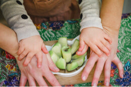 Apple cutting